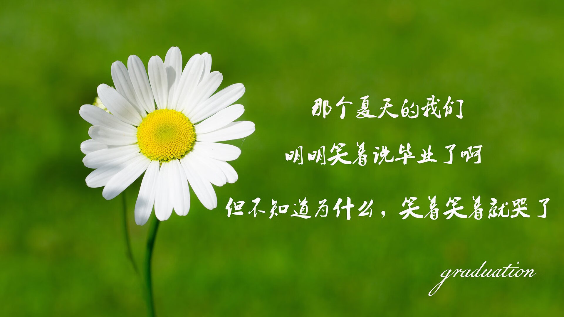纽卡斯尔联主场1-1战平水晶宫，状态起伏不定，纽卡斯尔联球场