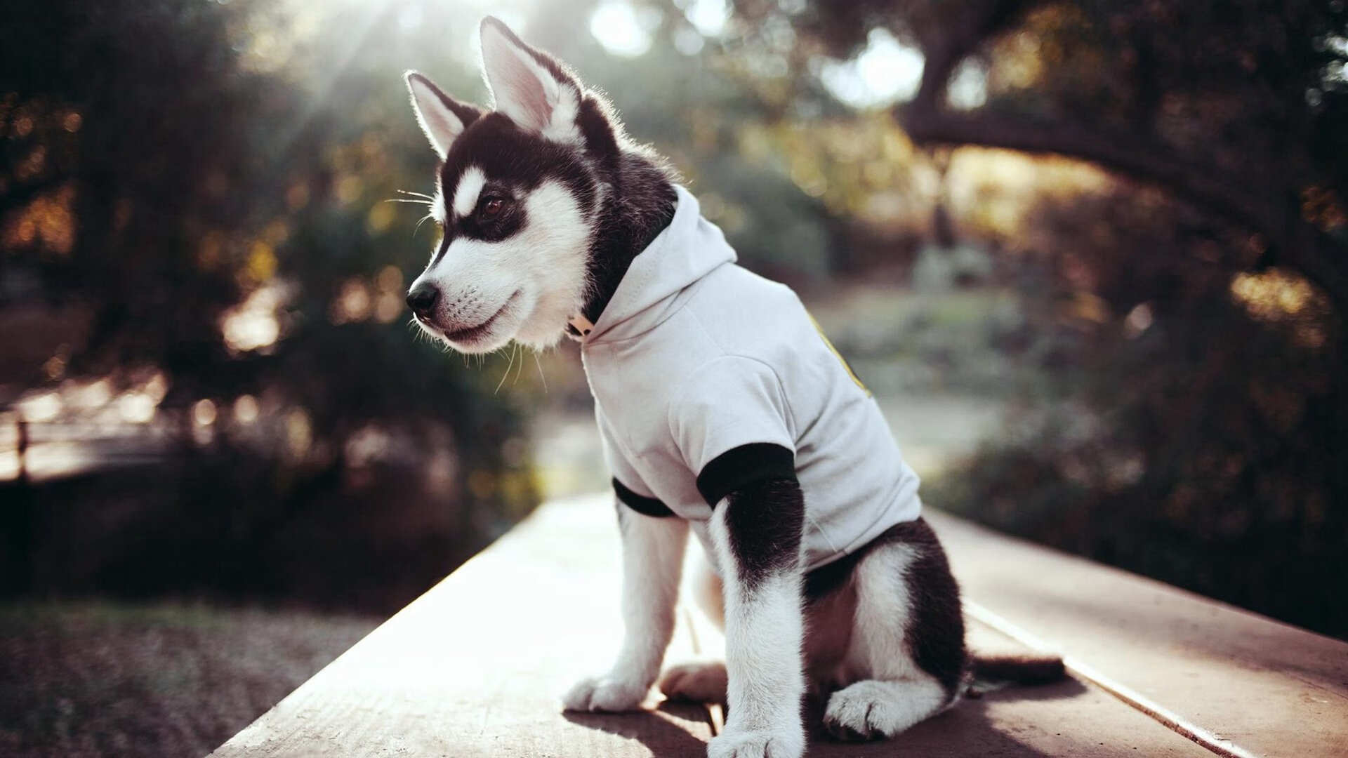 国足球员比赛热区分析，国足热身赛程