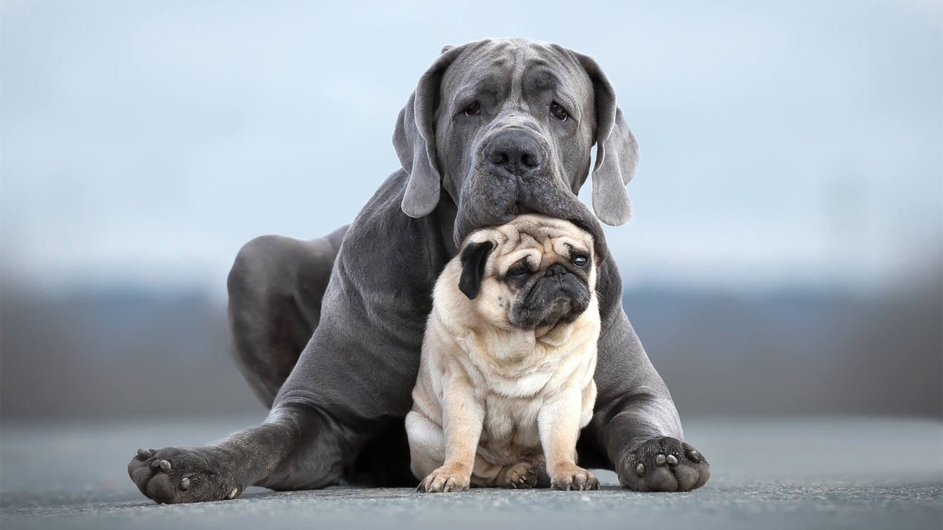 精彩战况集锦：五大联赛的本周焦点比赛，五大联赛点球榜