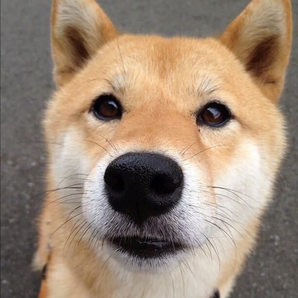 高校体育场馆开放管理与使用效率提升策略,高校体育场馆对外开放的意义