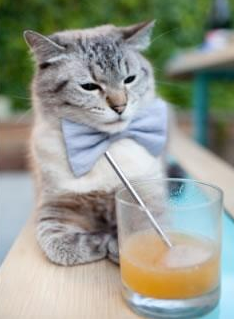 爱游戏登录入口-“四川省体育馆拳击赛：全球拳击迷的热血之约，谁能用拳头书写传奇？”