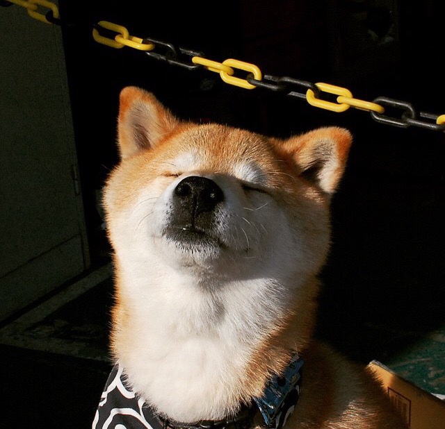 爱游戏-印度队未来发展战略：推动本土选手走向世界，印度队伍