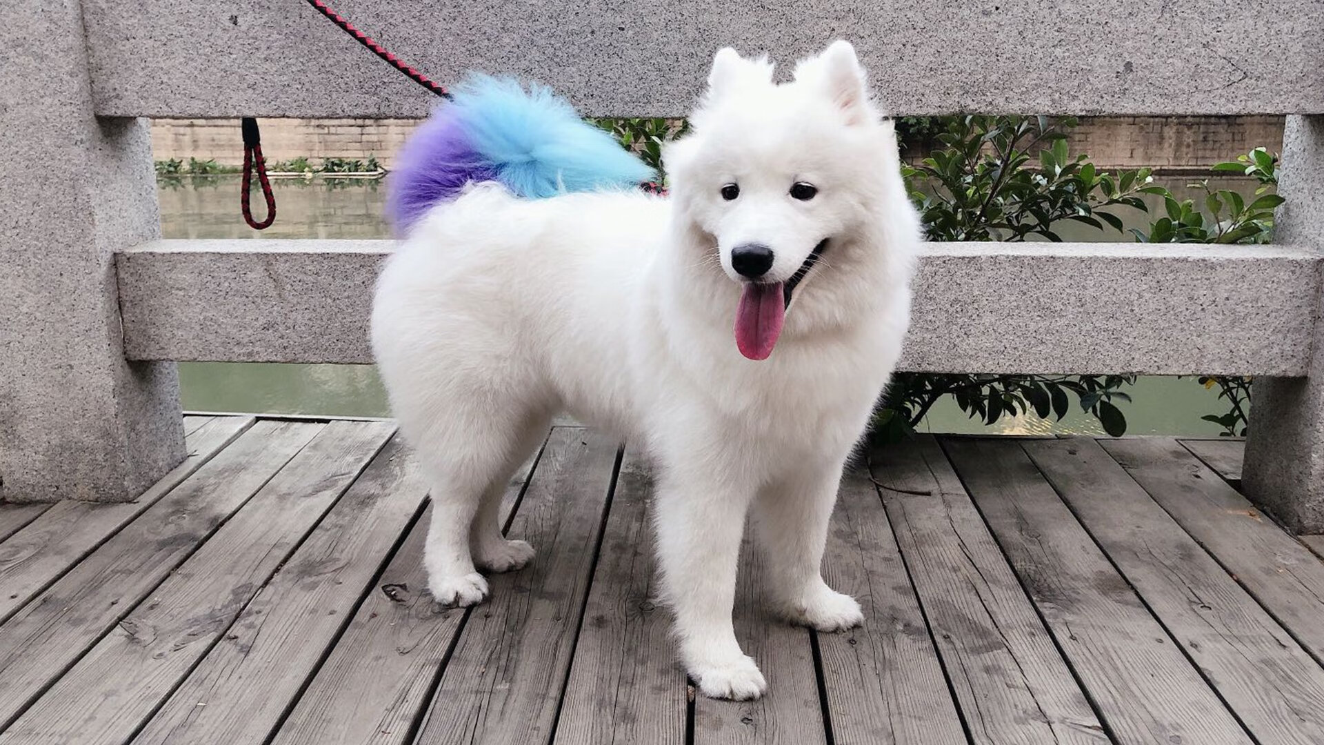 转身动作连贯性影响比赛结果，转身动作要领