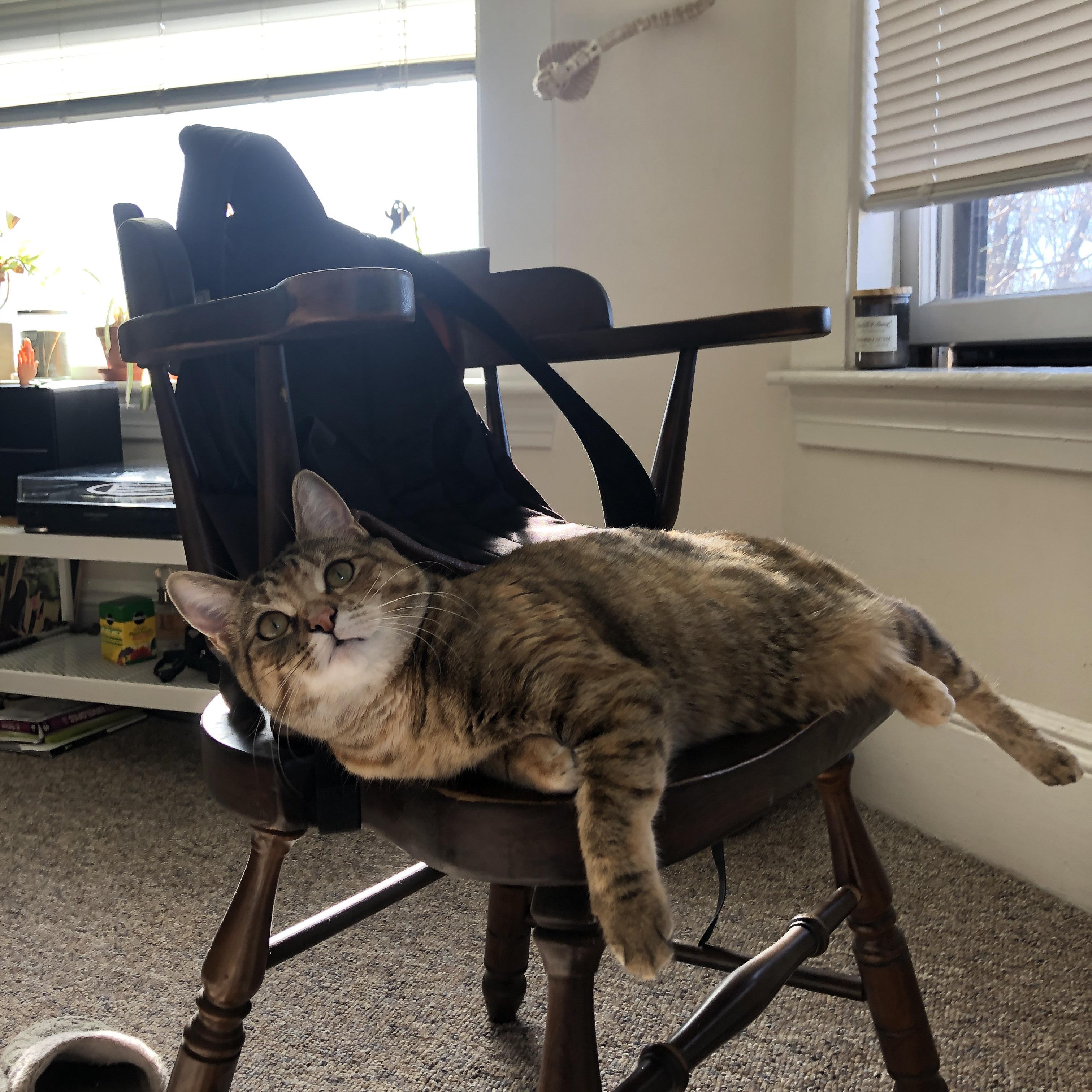 爱游戏-巴雷特：全黑队的“战术核心”，用智慧引领进攻潮流