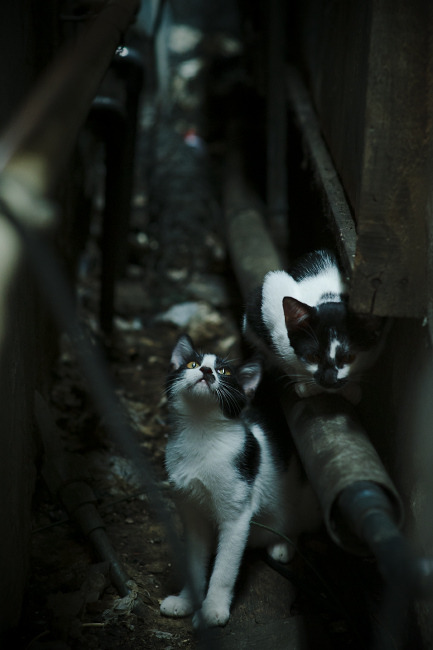 欧洲杯VAR争议再掀讨论,2020欧洲杯var