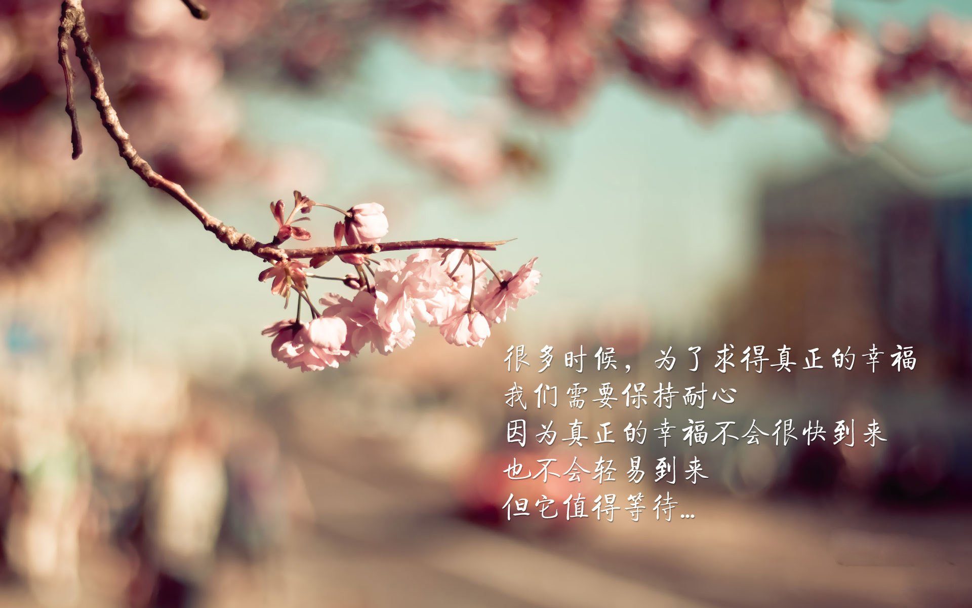 水球比赛中立代表队A防守反击有章法，水球比赛中球最多在手中停留多少秒