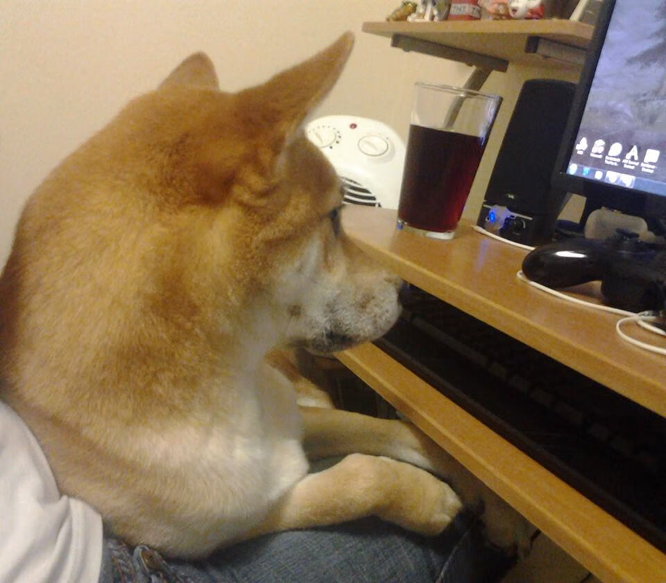 球员身体状态全面回暖教练团队表示全队已进入最佳备战节奏，球员身体素质