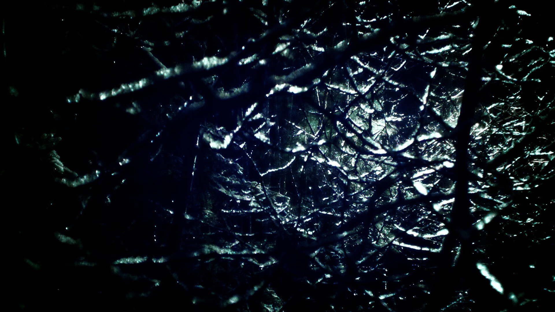 篮网加练结束后组织队内趣味游戏，篮网训练营什么时候开始