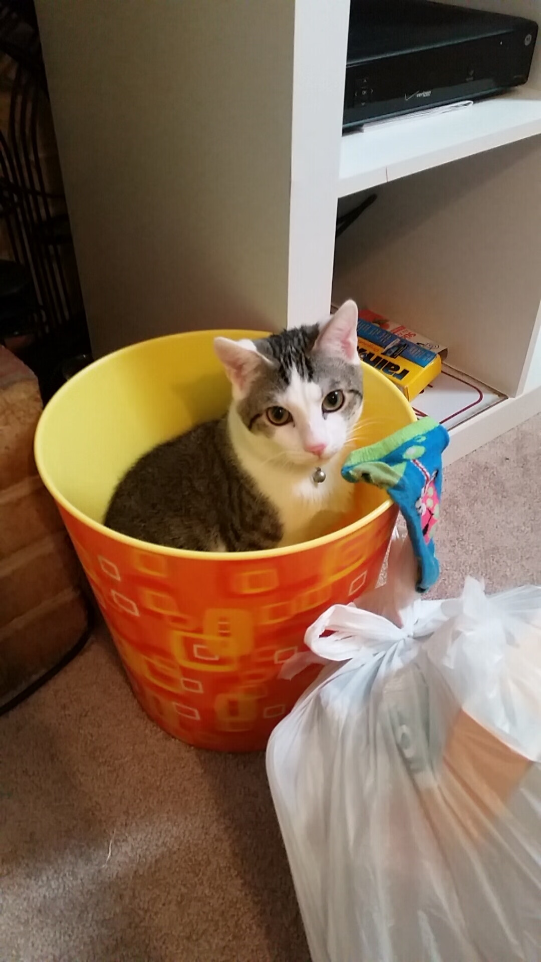 英超激烈拼搏：每场战斗都精彩绝伦！，英超争4