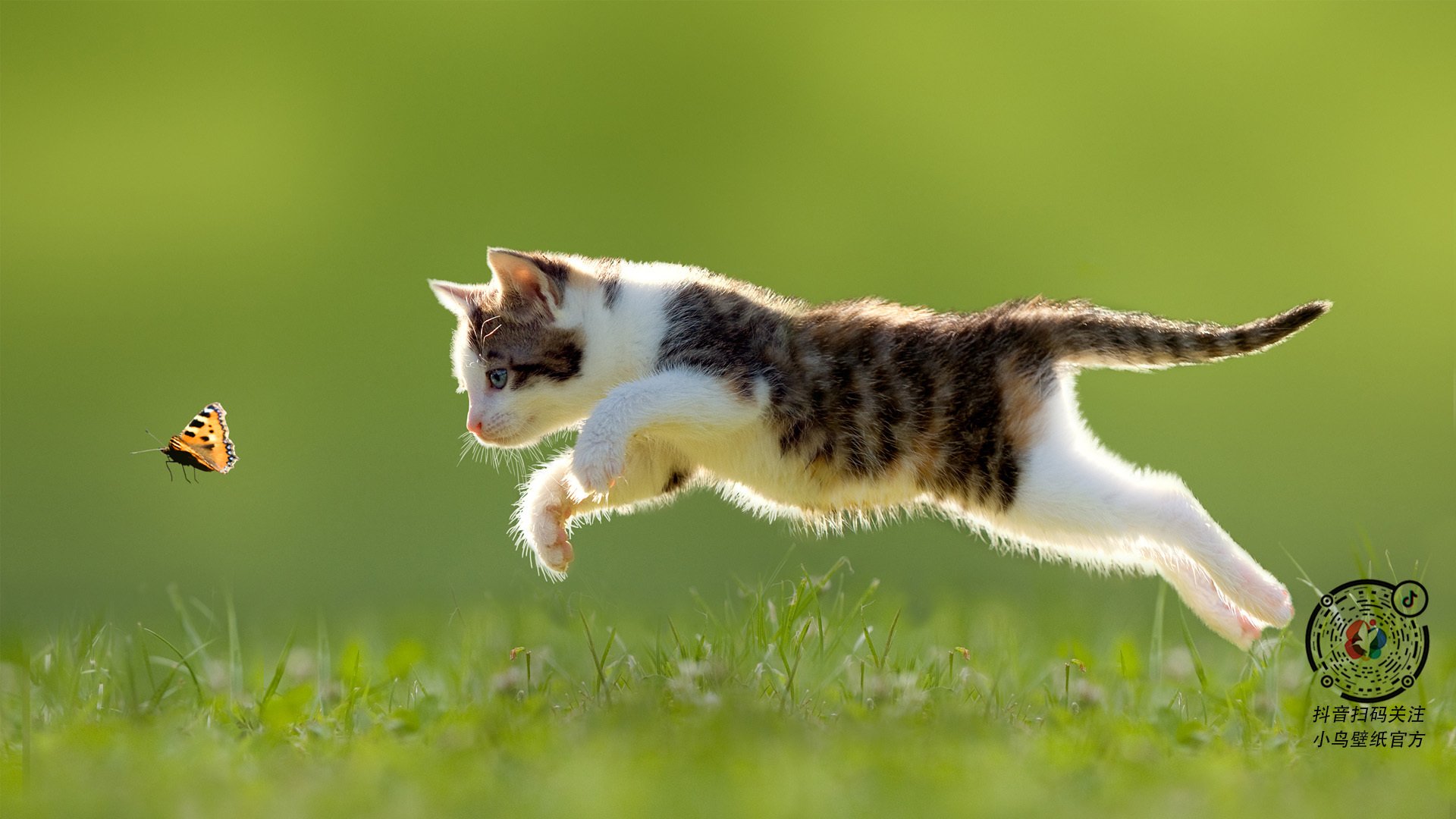 爱游戏官方网站-足球宝贝评选活动引发关注，展现球迷热情，足球宝贝哪个好看